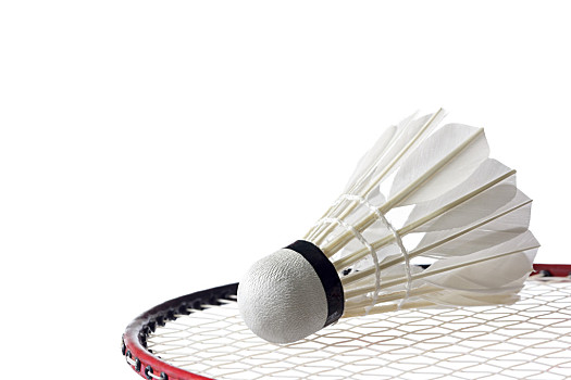 看一些成功 看一些成功