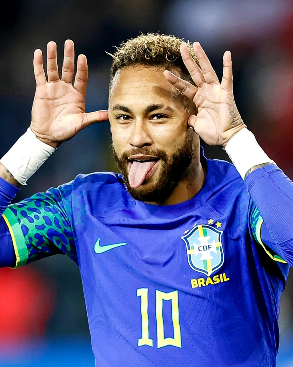 正是这种明 正是这种明