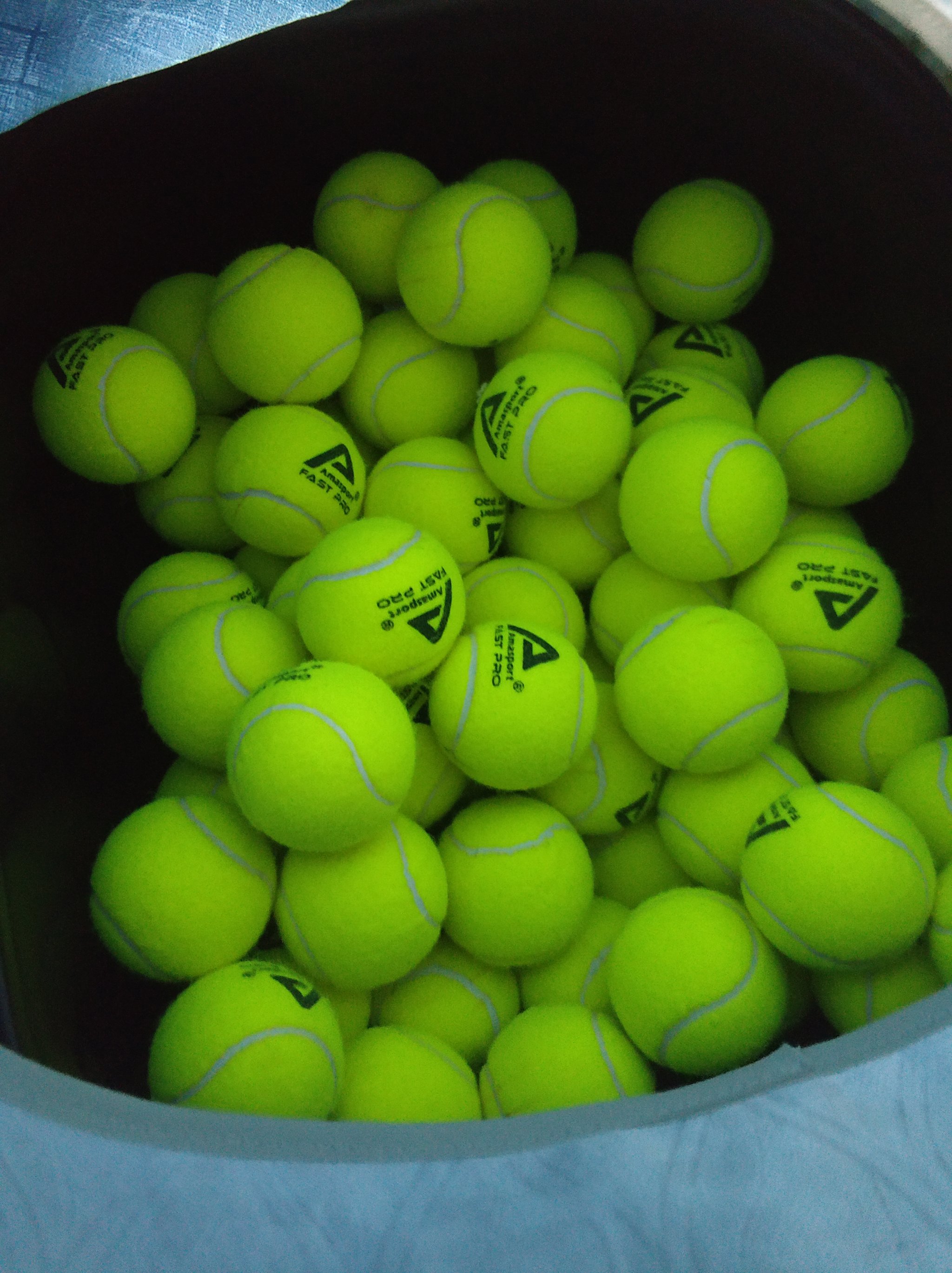 足球学校 足球学校